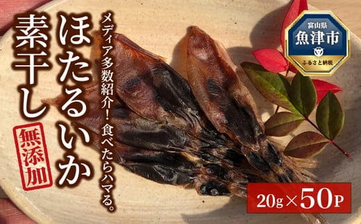 ホタルイカ素干1kg（20g×50袋）：浜浦水産シェアセット ※北海道、沖縄、離島への配送不可