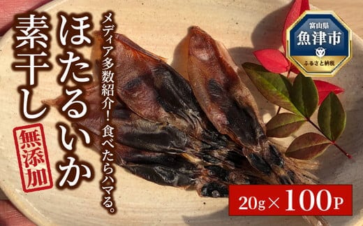 ホタルイカ素干2kg（20g×100袋）：浜浦水産シェアセット ※北海道、沖縄、離島への配送不可