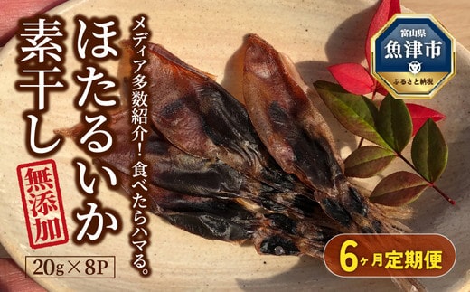 【6ヶ月定期便】ホタルイカ素干し 160g (20g×8袋 ) ※北海道、沖縄、離島への配送不可