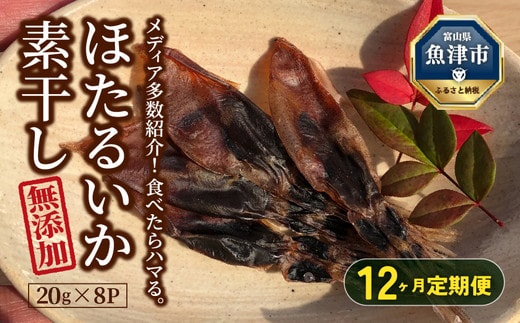 【12ヶ月定期便】ホタルイカ素干し 160g (20g×8袋 ) ※北海道、沖縄、離島への配送不可