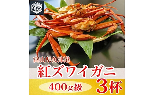 【冷蔵】自社漁船直送！魚卸問屋の紅ズワイガニ 400g級×3ハイセット ※2026年9月～発送