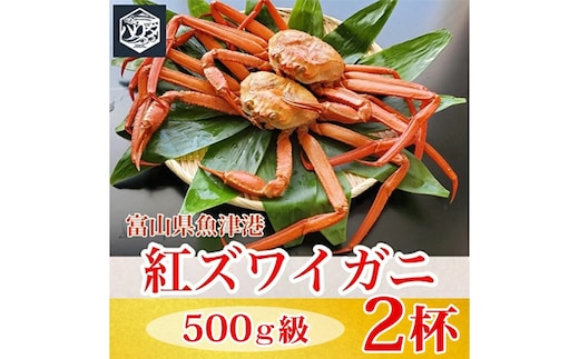 【冷蔵】自社漁船直送！魚卸問屋の紅ズワイガニ 500g級×2ハイセット ※2026年9月～発送