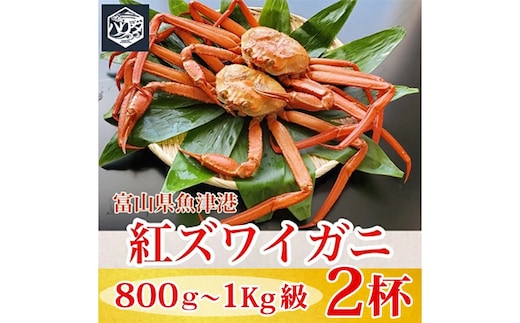 【冷蔵】自社漁船直送！魚卸問屋の紅ズワイガニ 800g～1kg級×2ハイセット ※2026年9月～発送