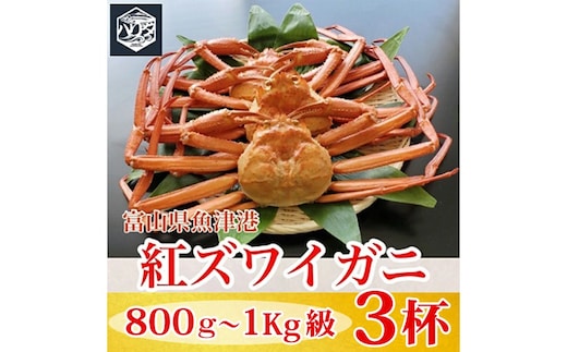 【冷蔵】自社漁船直送！魚卸問屋の紅ズワイガニ 800g～1kg級×3ハイセット ※2026年9月～発送