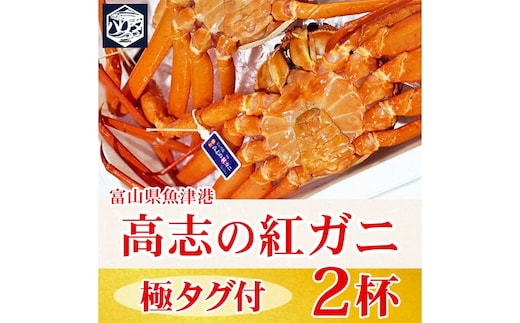 【冷蔵】自社漁船直送！高志の紅ガニ 極上タグ付×2ハイセット ※2026年9月～発送