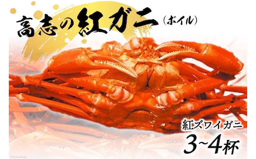 紅 ズワイガニ ボイル「高志の紅ガニ」3～4杯《10月前半～5月後半お届け》カニ 蟹 期間限定 冷蔵/くろべ漁業協同組合 魚の駅「生地」/富山県 黒部市 かに 海鮮 魚介類 魚介 ずわい蟹 