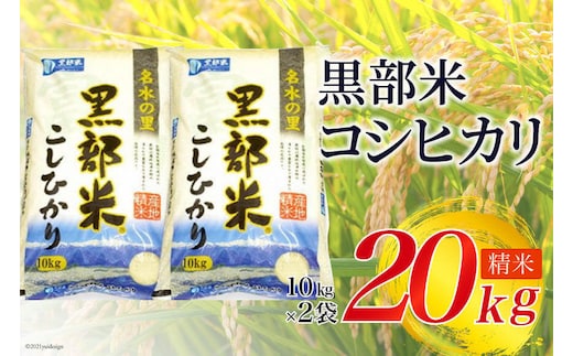【令和7年産】黒部米 コシヒカリ 10kg×2袋 計20kg 精米