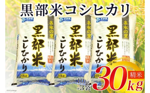 米 令和5年 黒部米 コシヒカリ 10kg×3袋 計30kg 精米 白米 こしひかり