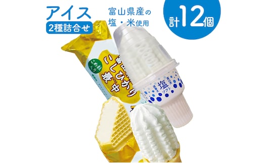 アイス 詰め合わせ 塩ソフト＆富山県産こしひかり最中 計12個 アイスクリーム ソフトクリーム モナカ/横山冷菓/富山県 黒部市 お菓子 菓子 