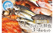 魚 富山湾直送 さばいた鮮魚セット 3～4種 旬 新鮮 鮮魚 刺身 詰め合わせ 産地直送 冷蔵/くろべ漁業協同組合 魚の駅「生地」/富山県 黒部市 海鮮 魚介類 魚介 