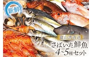 魚 富山湾直送 さばいた鮮魚セット 4～5種 旬 新鮮 鮮魚 刺身 詰め合わせ 産地直送 冷蔵/くろべ漁業協同組合 魚の駅「生地」/富山県 黒部市 海鮮 魚介類 魚介 