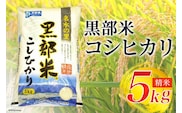 【令和7年産】黒部米 コシヒカリ 5kg 精米