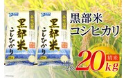 【令和7年産】黒部米 コシヒカリ 10kg×2袋 計20kg 精米