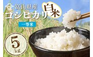 米 精米 コシヒカリ 5kg コメ ご飯 ごはん 白米/林農産/富山県 黒部市 お米 こしひかり 