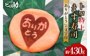 トロ特上 ます寿司『 ありがとう 』文字付 430g×1個 鱒寿司 押し寿司 富山名物 冷蔵 お礼 退職祝い/ます寿司屋ヒロ助/富山県 黒部市 ギフト お寿司 海鮮 魚 魚介類 魚介 加工食品 惣菜 