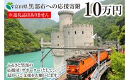 黒部市への応援寄附（返礼品はありません）1口 100,000円 返礼品なし 地域のお礼の品 