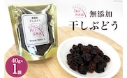 無添加 干しぶどう ボッサの干しぶどう 40g×1袋 マスカットベーリーA（種あり）国産 レーズン ドライフルーツ 砂糖不使用 ブドウ 葡萄 加工食品 お菓子 スイーツ おやつ 
