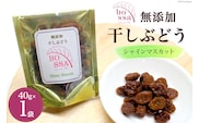 無添加 干しぶどう シャインマスカット 40g×1袋 期間限定 国産 レーズン ドライフルーツ 砂糖不使用 ブドウ 葡萄 加工食品 お菓子 スイーツ おやつ 