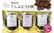 無添加 干しぶどう 3種セット 各40g×1袋 計3袋 食べ比べ 期間限定 国産 レーズン ドライフルーツ 砂糖不使用 ブドウ お菓子 スイーツ 