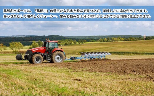 黒部名水ポーク ロース切身5枚入り・しゃぶしゃぶ用肉（約350g）・名水ハンバーグ（約200g）×3個/ふるさと納税/富山県黒部市 豚肉 