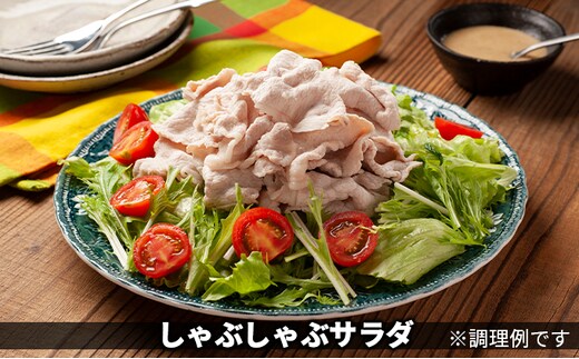 黒部名水ハンバーグ10個・しゃぶしゃぶ用肉（約250g）/ふるさと納税/富山県黒部市 お肉 豚肉 国産 食べ物 肉料理 柔らかい ジューシー 夕飯 おかず 食材 