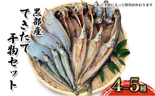 できたて干物セット 4～5種 おまかせ 富山県黒部市/産地直送 旬 魚介 魚 さかな 詰め合わせ ひもの 富山湾 名水 産地直送 生地 干物の詰め合わせ 加工品 朝食 朝ごはん おかず 夕飯 晩御飯 