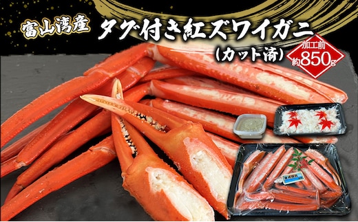 富山湾産カニ 厳選 タグ付き紅ズワイガニ 大サイズ 贈答 自分にご褒美 カット済 漁師直販 恵比須丸 海鮮 鮮度抜群 風味豊か イベント 集まり お祝い 