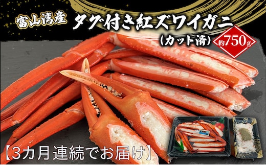 【3か月連続でお届け】厳選 富山湾産 タグ付き紅ズワイガニ約750ｇ（カット済）富山県黒部市/贈答 自分にご褒美 漁師直販 恵比須丸 定期便 蟹 カニ ずわい蟹 ずわいガニ 