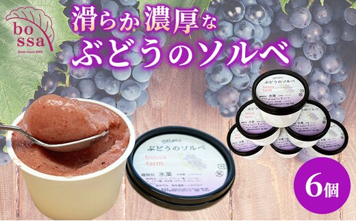 ジェラート 「ぶどうのソルベ」6個入り/アイス シャーベット デザート ブドウ フルーツ 小分け /富山県黒部市 