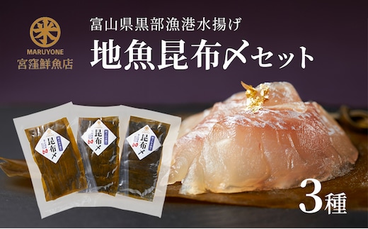黒部漁港 〈地魚昆布〆3種セット〉 産地直送 旬 魚介 魚 さかな 詰め合わせ 冷凍 /富山県黒部市 