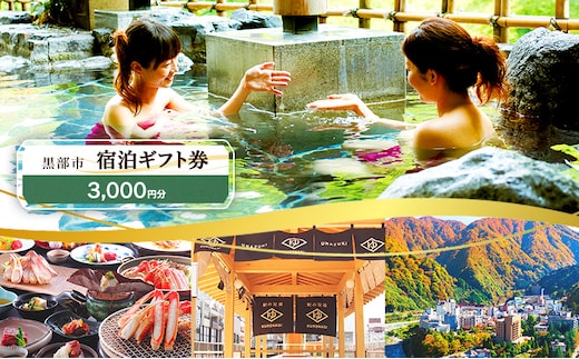 黒部市宿泊ギフト券 3,000円分 チケット 宿泊券 ギフト券 温泉 旅行 宿 旅館 観光 黒部 宇奈月