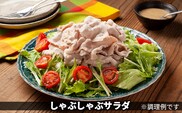 黒部名水ハンバーグ10個・しゃぶしゃぶ用肉（約250g）/ふるさと納税/富山県黒部市 お肉 豚肉 国産 食べ物 肉料理 柔らかい ジューシー 夕飯 おかず 食材 