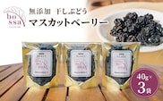 無添加 干しぶどう ボッサの干しぶどう 40g×3袋 マスカットベーリーA（種あり）国産 レーズン ドライフルーツ 砂糖不使用/富山県黒部市 果物加工品 フルーツ加工品 甘さ控えめ おつまみ ポリフェノール 