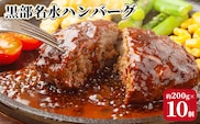 黒部名水ハンバーグ10個セット/ふるさと納税/富山県黒部市 惣菜 冷凍総菜 肉料理 洋食 おかず 冷凍ハンバーグ 時短 夕飯 ランチ お弁当 