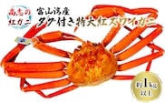 厳選! 高志の紅ガニ 富山湾産タグ付き特大紅ズワイガニ 1kg以上 富山県黒部市/ カニ 贈答 自分にご褒美 漁師直販 恵比須丸 海鮮 鮮度抜群 風味豊か イベント 集まり お祝い 