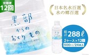 【合計576本】定期便 黒部からのおくりもの 500ml×24本×2ケース×12回 総計288L 名水百選 黒部の名水 防災 アウトドア ペットボトル 飲料水 ミネラルウォーター 2個口配送/IAC/富山県 黒部市 飲み物 ドリンク ペットボトル飲料 