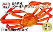 【3か月連続でお届け】厳選! 高志の紅ガニ 富山湾産タグ付き特大紅ズワイガニ 1kg以上 富山県黒部市/ 贈答 自分にご褒美 漁師直販 恵比須丸 定期便 蟹 カニ ずわい蟹 ずわいガニ 
