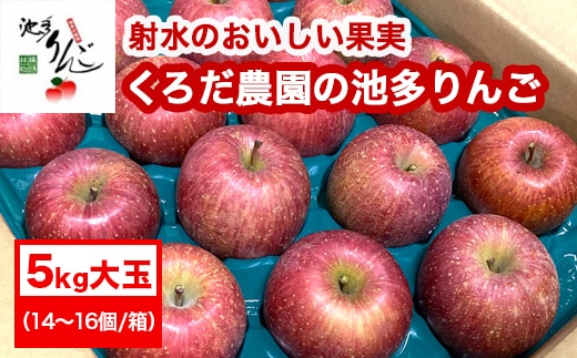 【射水のおいしい果実】【林檎】くろだ農園の池多りんご 5kg大玉（14～16個／箱） ※2026年11月～発送