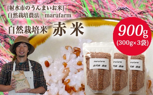 【射水の美味しいお米】【自然栽培農法】自然栽培農家 marufarm 自然栽培米「赤米」900g（300g×3袋）※離島への配送不可