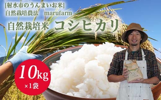 【射水の美味しいお米】【自然栽培農法】自然栽培農家 marufarm 自然栽培米「コシヒカリ」10kg ※2026年10月～発送