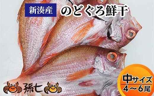 【新湊産】のどぐろ鮮干し（中サイズ４/６尾）