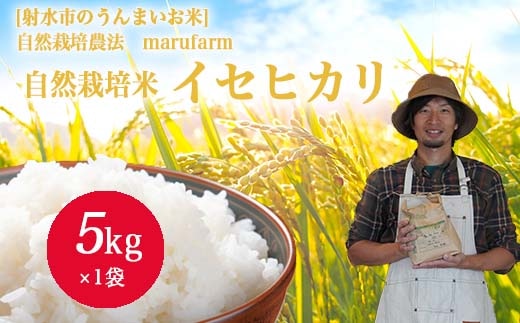【射水の美味しいお米】【自然栽培農法】自然栽培農家 marufarm 自然栽培米「イセヒカリ」5kg ※2026年10月～発送