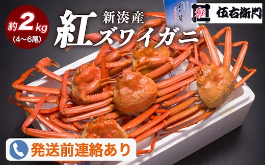 【伍右衛門】新湊産紅ズワイガニ約2kg（4～6尾）｜ずわい蟹 ずわいガニ ズワイガニ ※2026年9月～発送 ※発送まで1か月以上かかる場合があります。