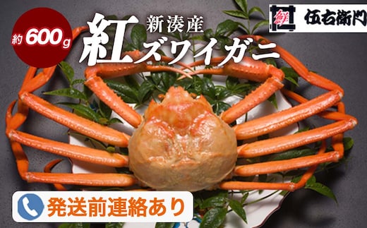 【伍右衛門】新湊産紅ズワイガニ約600g｜ずわい蟹 ずわいガニ ズワイガニ ※2026年9月～発送 ※発送まで1か月以上かかる場合があります。