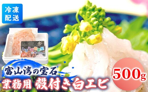業務用殻付きシロエビ500g