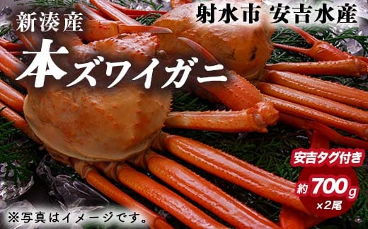 【おすすめ】本ズワイガニ 約700g×2尾（安吉タグ付き）【安吉水産】｜蟹 カニ