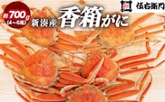 【伍右衛門】新湊産香箱がに4～6尾（計約700g）｜海鮮 お祝い 集まり ズワイガニ 雌 冬の味覚 茹でたて 新鮮 国産 富山県産 ※離島への配送不可 ※2025年11月上旬～12月中旬頃 ※発送まで1か月以上かかる場合があります。