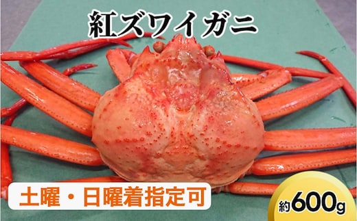 紅ズワイガニ約600g【棚辺水産】 ※2026年9月～発送