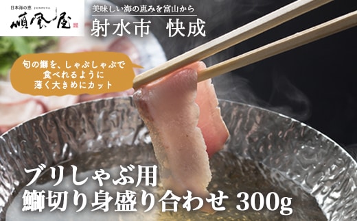 【射水市】【射水のおいしい食品】【海鮮】ブリしゃぶ用 鰤切り身盛り合わせ 300g ※離島への配送不可 ※2025年12月下旬～2026年1月下旬頃に順次発送予定