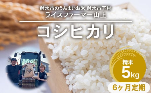 【6ヶ月定期便】【射水市】【ライスファーマー山上】【農家直送】【射水の美味しいお米】R8年産コシヒカリ5kg【精米】 ※2026年10月上旬～10月下旬頃に順次発送予定 ※離島への配送不可